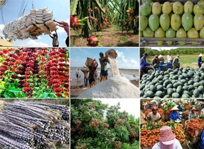 China biggest buyer of agro-forestry-fishery products from Vietnam